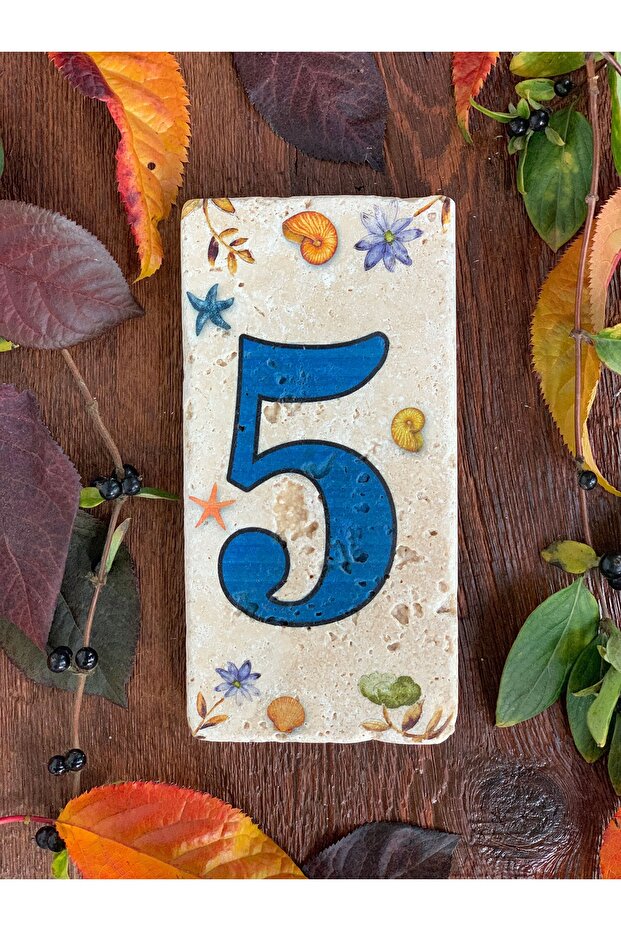 Doğaltaş Kapı Numarası 5 - 1