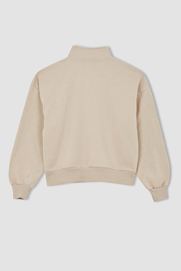 Regular Fit Sweatshirt - 6