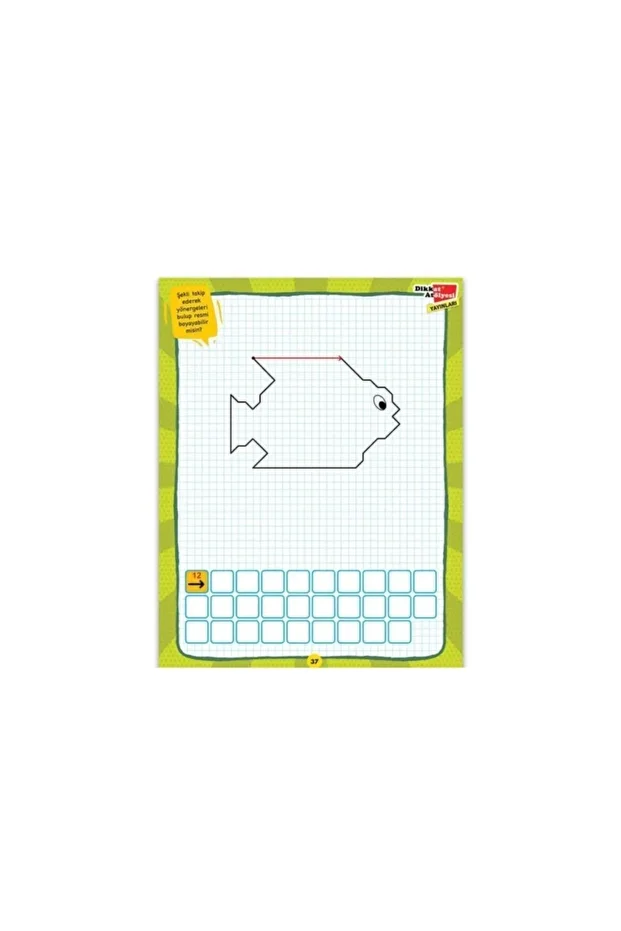 Algoritma Temelli Adım Adım Kodlama 4 Lü Set Robotik Kodlama Kitabı - 4