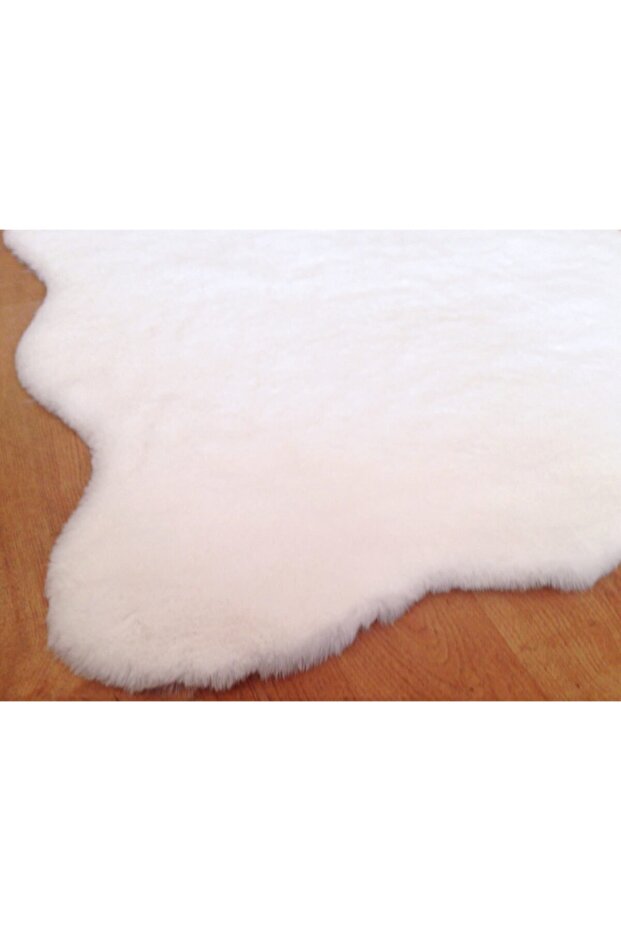 Rex Tavşanı Postu Beyaz - 2