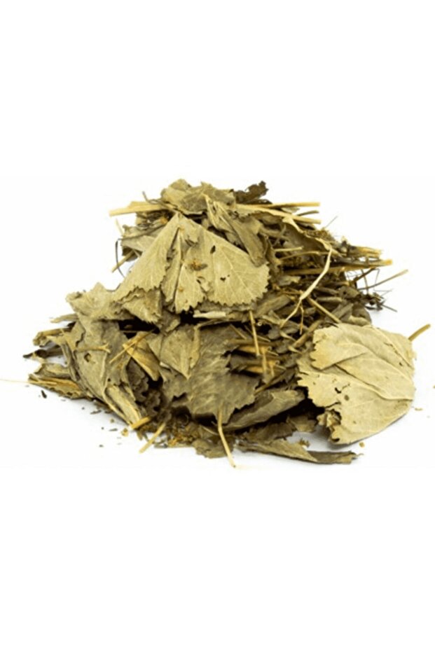 Aslan Pençesi (testere Dişli) 40gr - 2