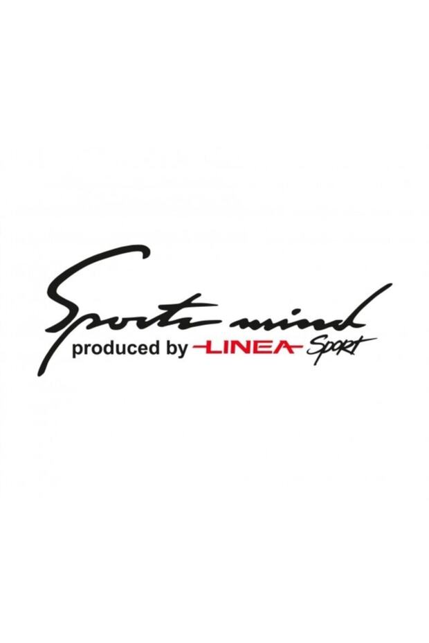 Fiat Linea Mind Sport Headlight Above Auto Sticker Hood