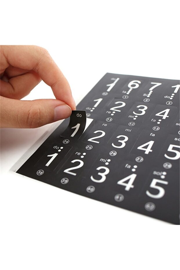 Org Ve Piyano Nota Stıckerı - 1