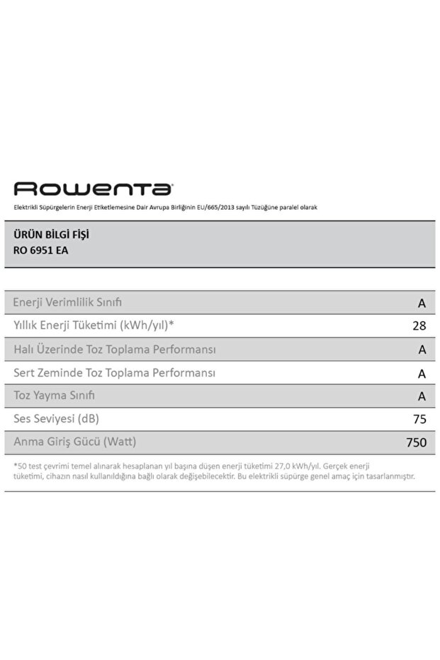 Row Ro6951 Ea Xtrem Power Cyclonic Elk Süp - 6