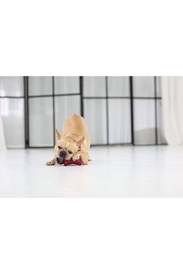 OUTWARDHOUND BİONİC OPAQUE BONE ORG SMALL KÖPEK KEMİRME OYUNCAĞI - 2