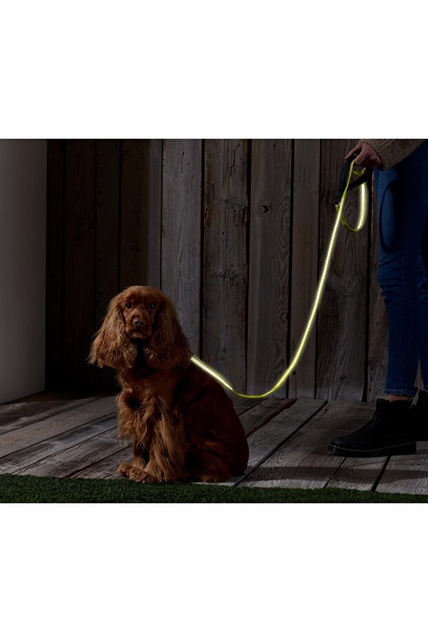 Reflektörlü Köpek Tasması - 1