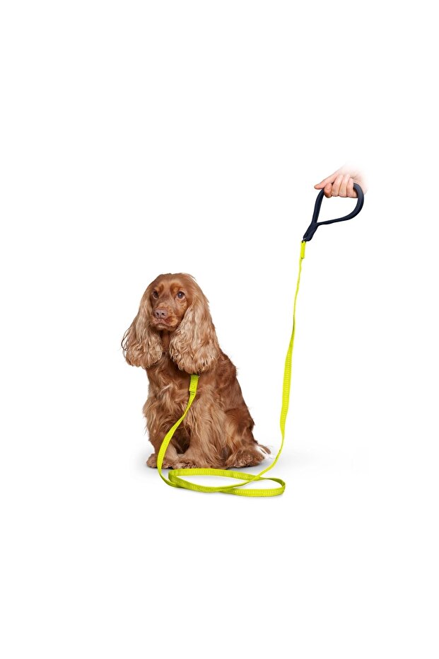 Reflektörlü Köpek Tasması - 2