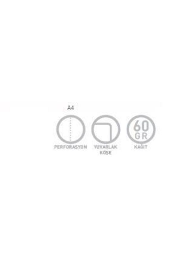 Pastoral A4 Spiralli Pp Kapak Defter 96 Yaprak Çizgisiz (4 Lü Paket) 3246 - 2
