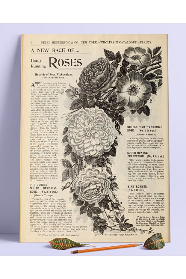 Roses Duvar Posteri Dev Boy 45x30 Cm - 1