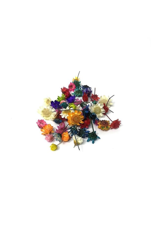 Kurutulmuş Çiçekler - Mix - 1
