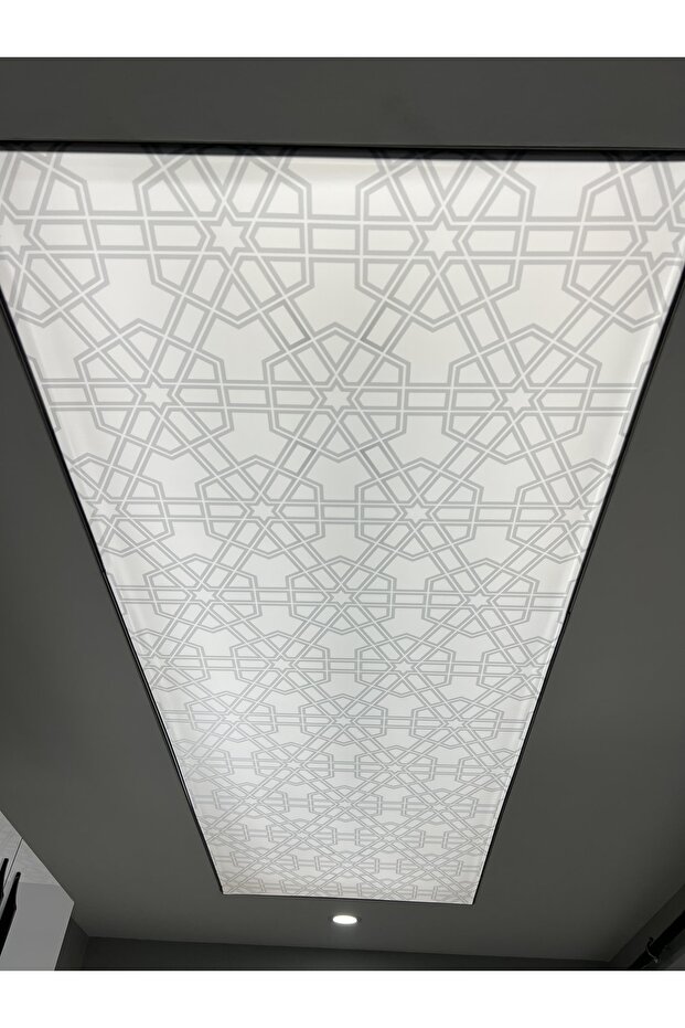 Miray Gergi Tavan - 3