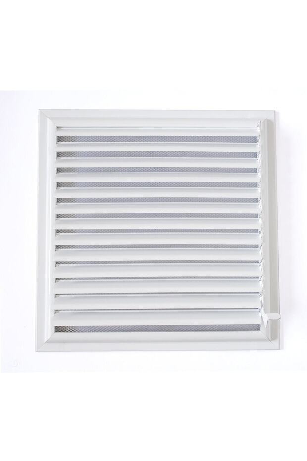 بانجورمن بروسيس بانجورماتيك مينفيز 40x40