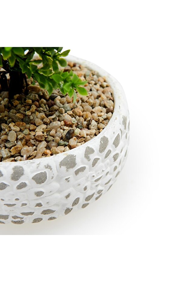 شجرة حصاة مزخرفة - 4