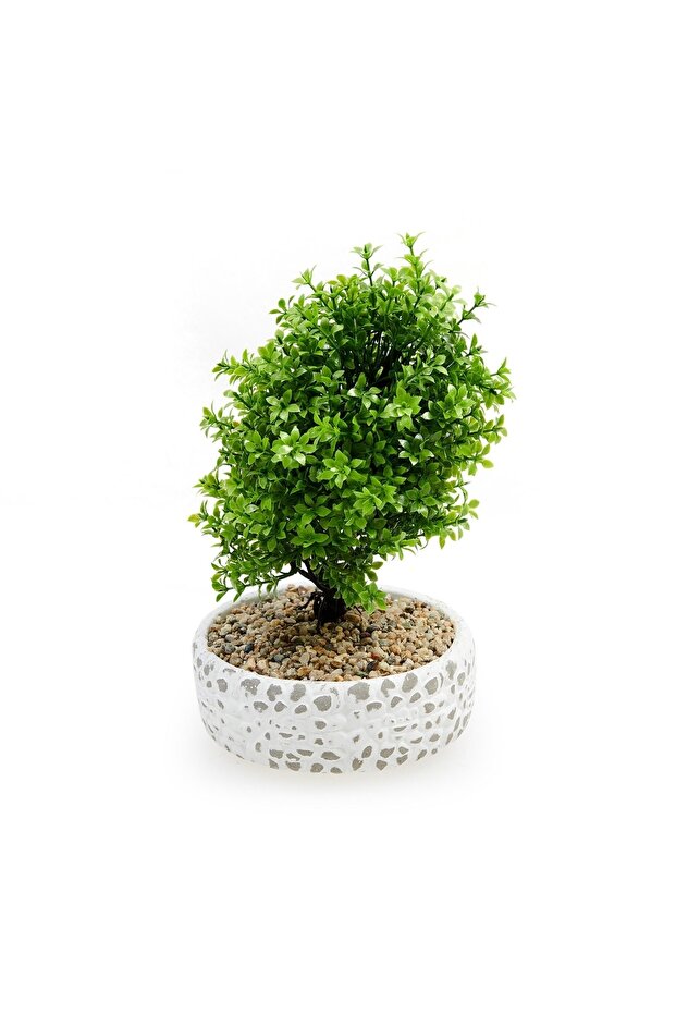 شجرة حصاة مزخرفة - 3