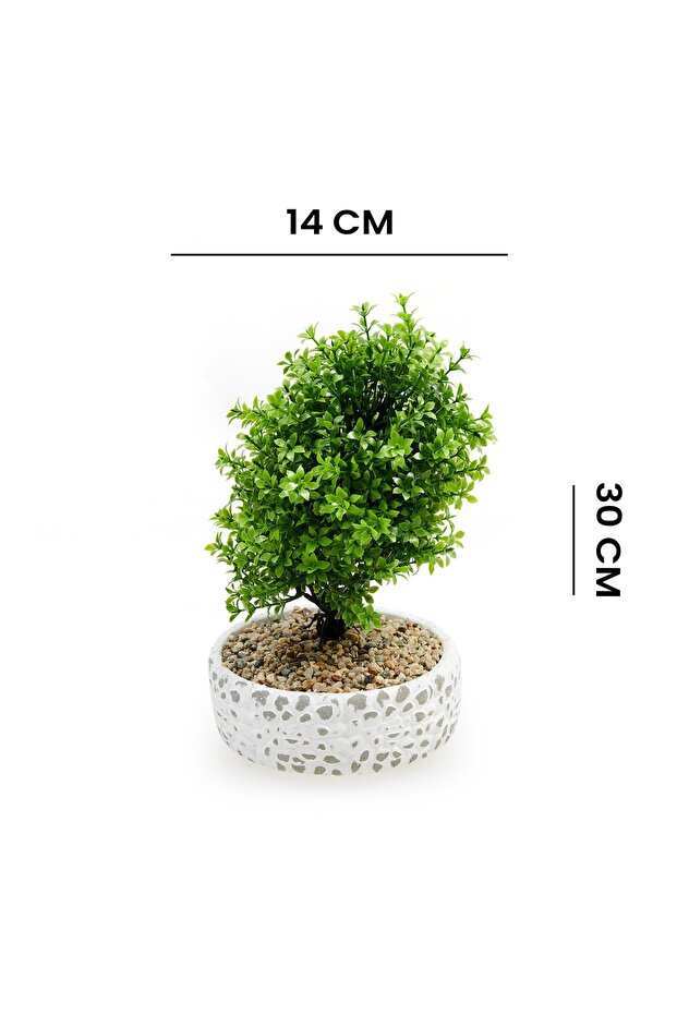 شجرة حصاة مزخرفة - 6