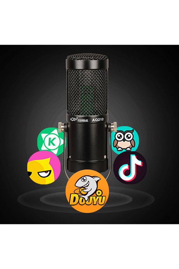 Aq210 Condenser Stüdyo Profesyonel Kayıt Ve Yayın Mikrofonu Studio - 3