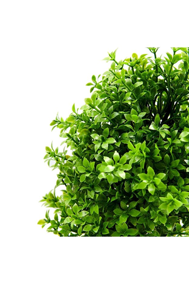 شجرة حصاة مزخرفة - 5