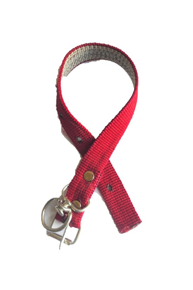 Köpek Tasması Mini