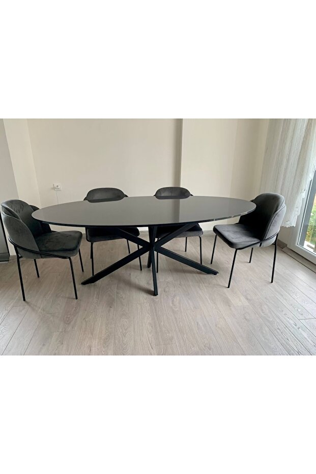 Elips Masa Modern Sandalye - 2