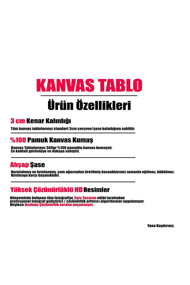 Dev Boyut Sürreal Dekoratif Yatak Odası Kanvas Tablo - 2