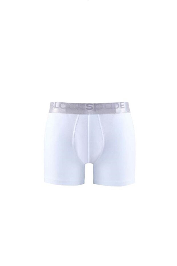 Silver Erkek Boxer - 1