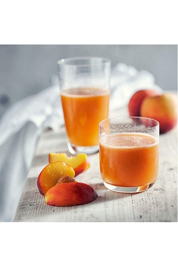 Katı Meyve Sıkacağı - 4