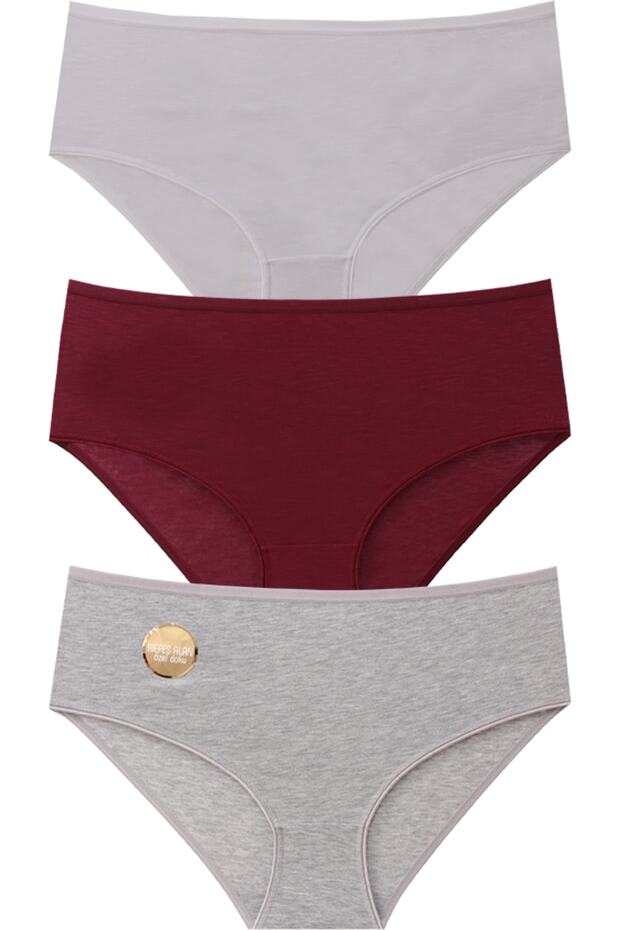 3-Piece Breathable Special Texture Battal Panties R6-14