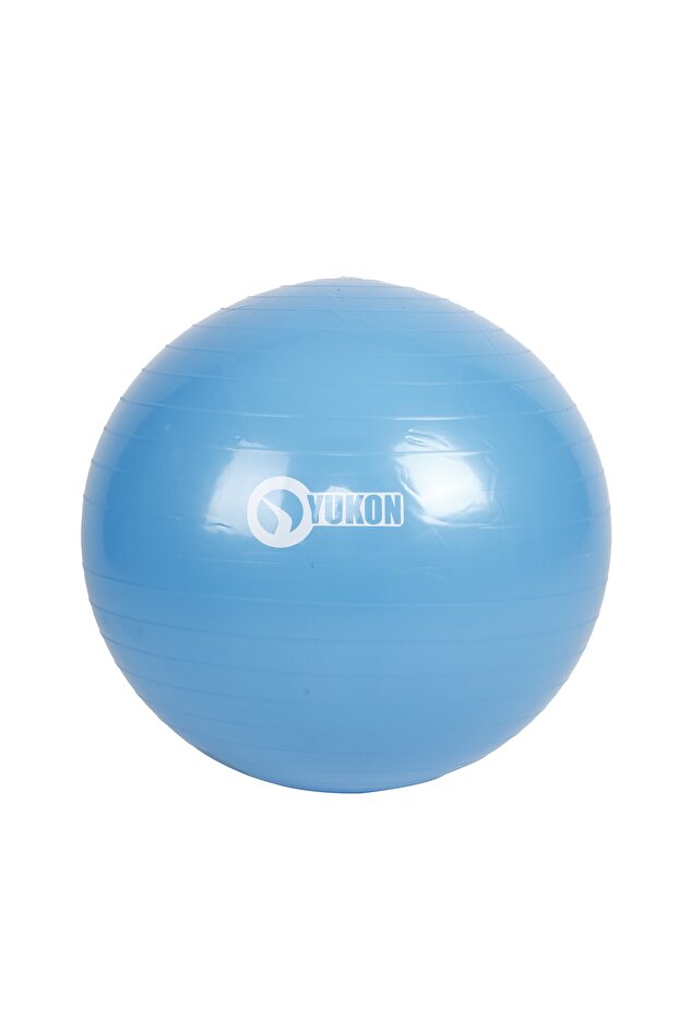 Pilates Topu ( Pompa Hediyeli ) - 4