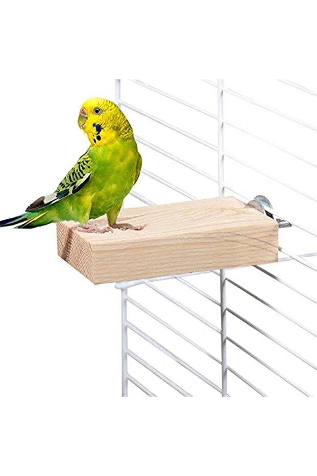 عمود طائر بعرض 7.5 سم و4 سم - خشب صنوبر مستطيل الشكل - 1