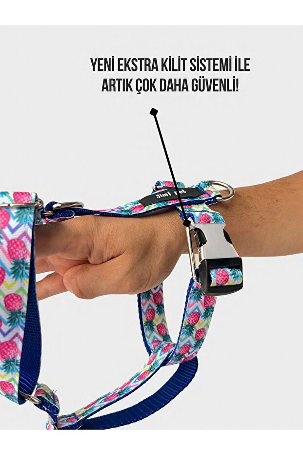 Tasma Seti Pineapple Model - 2