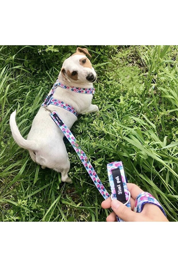 Tasma Seti Pineapple Model - 7