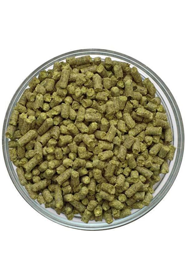 Saaz 100 Gr.