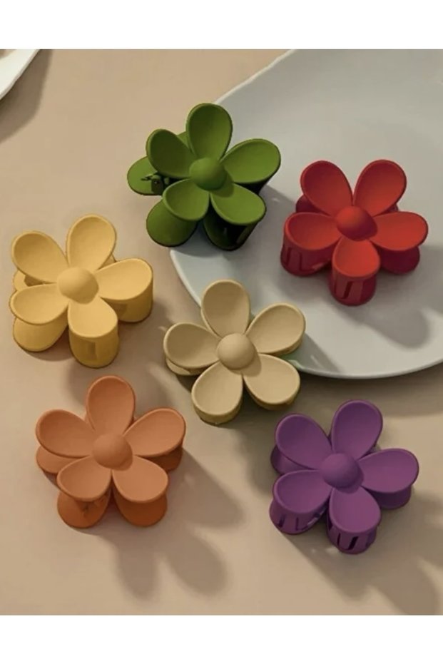 Women's 6-Colored Daisy Latch Buckle
