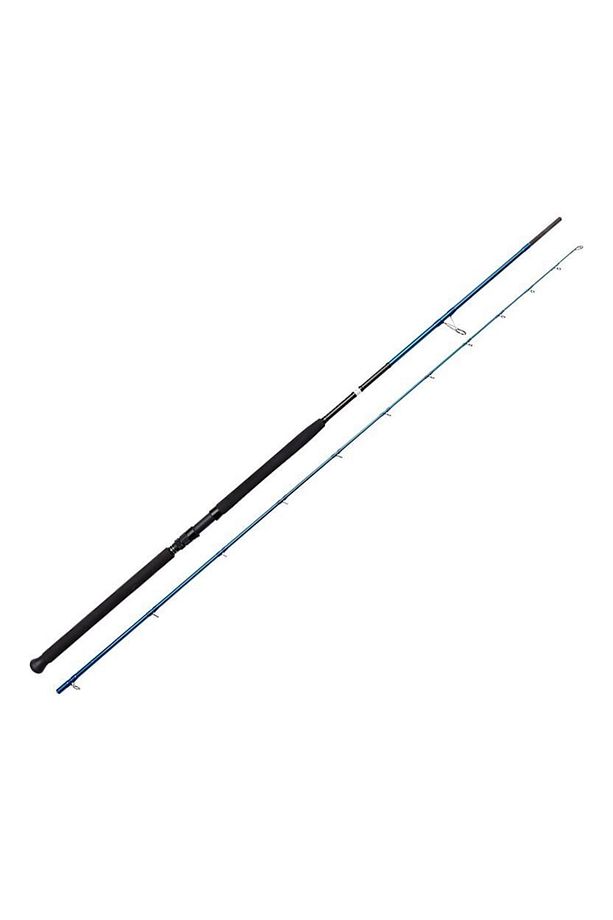 Sgs2 Shore Jigging 10'/3.05m 30-100 Gr 2 Parça - 1