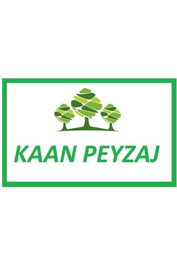 Kamkat - 3