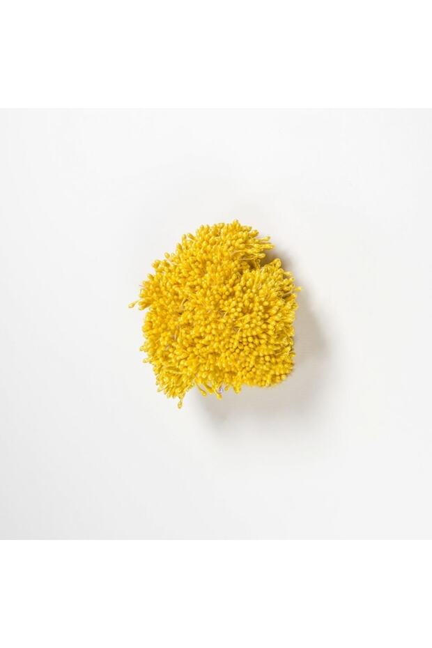 بذور الزهور - قطع مريح - 5