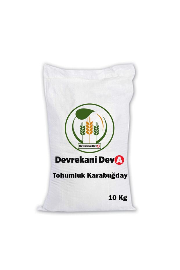 Karabuğday Tohumu 10 kg - 1