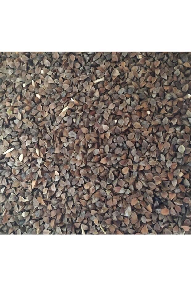 Karabuğday Tohumu 10 kg - 2