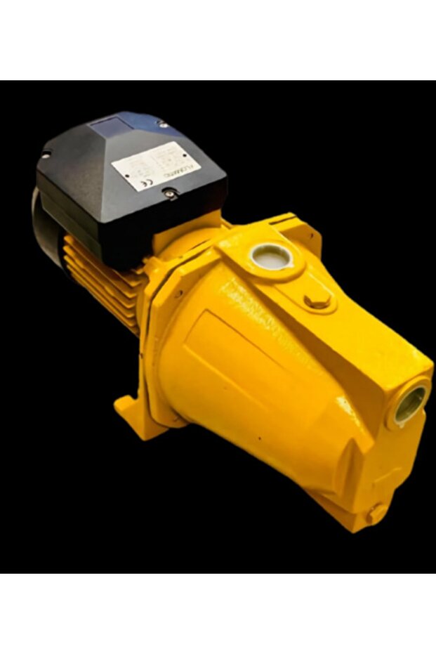 Jet 100 Flomatic Pompa - 1