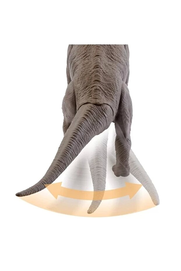 Brachiosaurus Hfk04 - 3