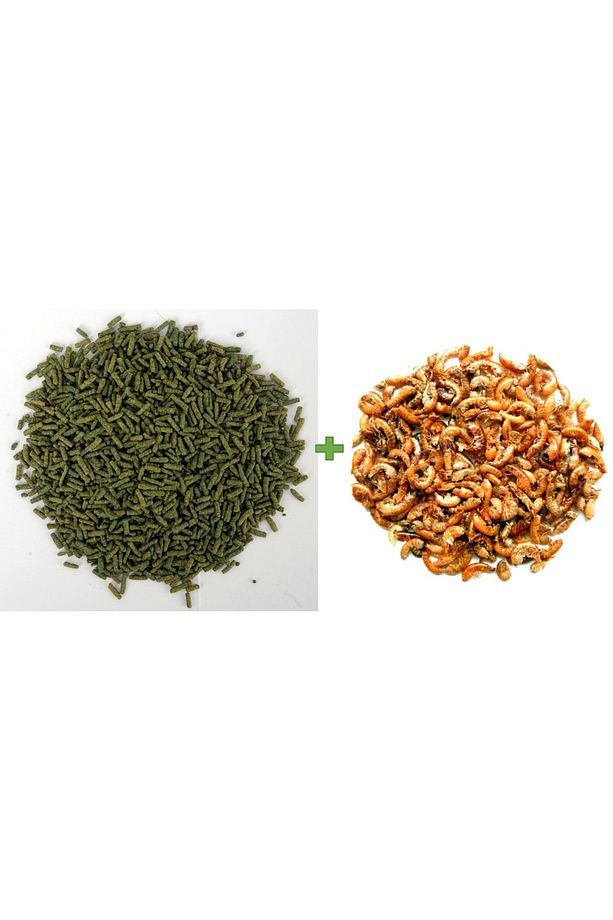 Turtle 100 ml + Gammarus 100 ml Kaplumbağa Ve Sürüngen Yemi - 2