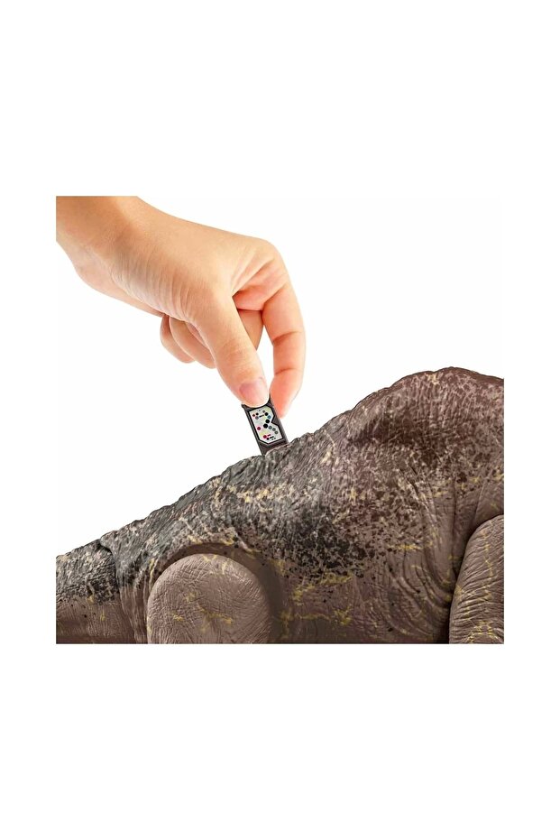 Brachiosaurus Hfk04 - 6