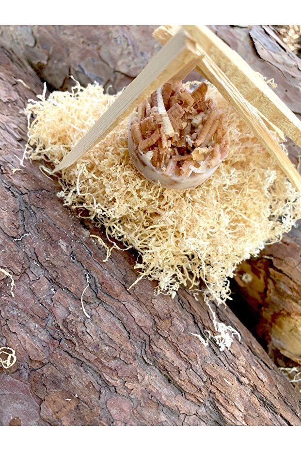 Ateş Tutuşturucu - 6