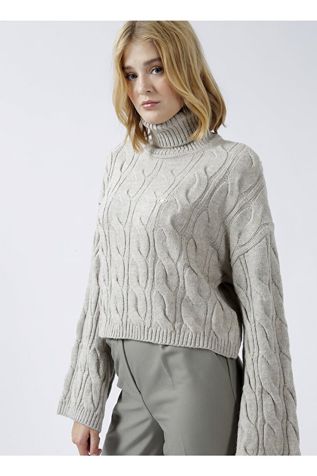 Turtleneck Gray Women's Sweater Molıs