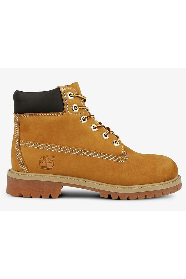 6 In Premium Wp Boot - 1