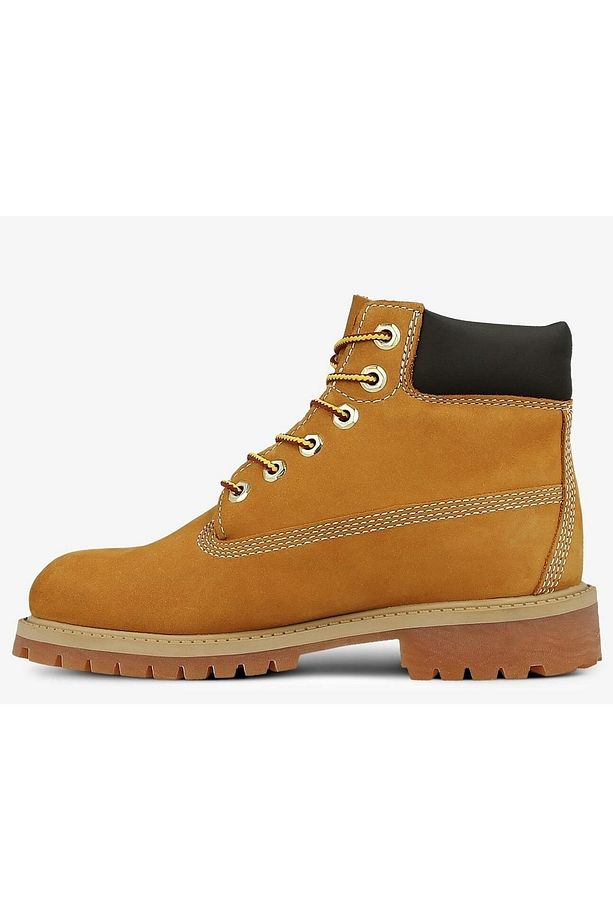 6 In Premium Wp Boot - 5