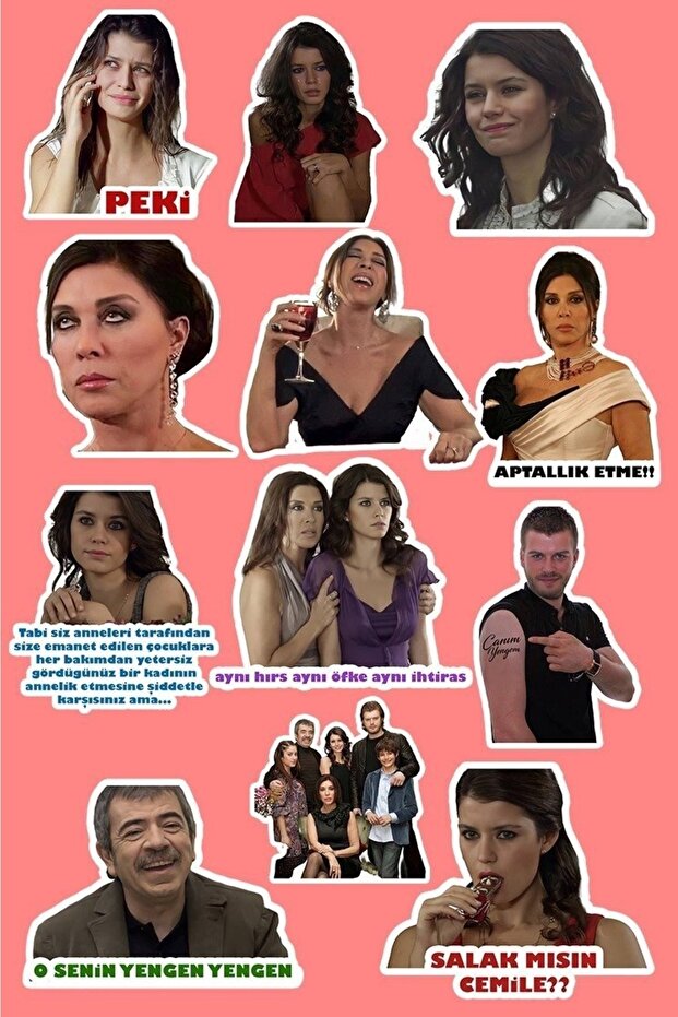 Aşksız Kaçık 12-Piece Laptop Notebook Tablet Sticker Set