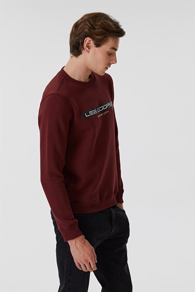 Rex Erkek Bisiklet Yaka Sweatshirt Mürdüm - 2