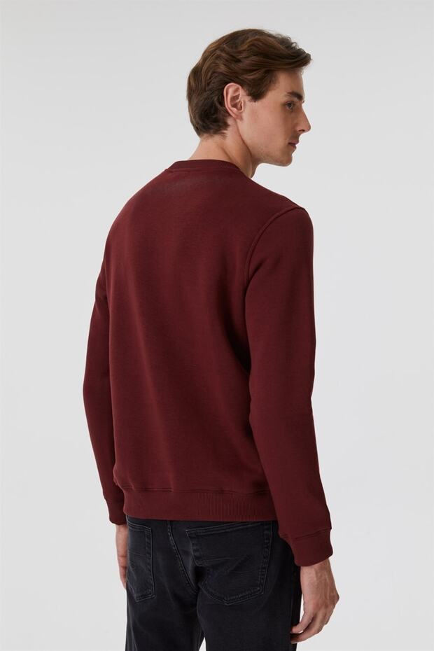 Rex Erkek Bisiklet Yaka Sweatshirt Mürdüm - 4