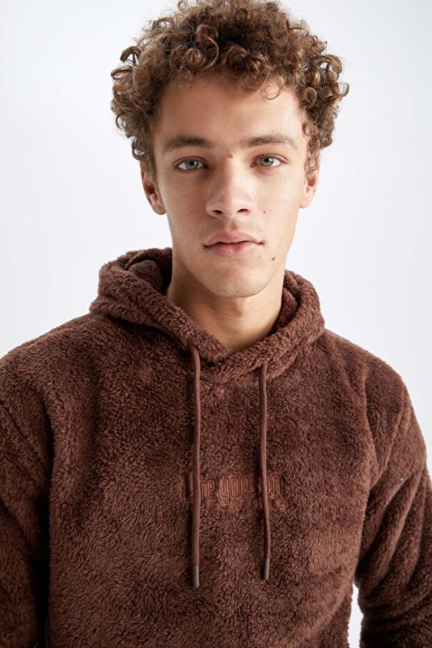 Regular Fit Kapüşonlu Pelüş Sweatshirt - 4